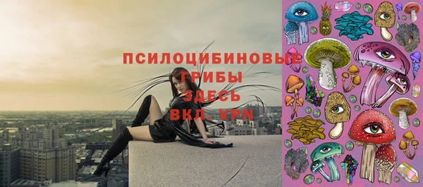 apvp Алзамай