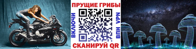Галлюциногенные грибы MAGIC MUSHROOMS  Опочка 