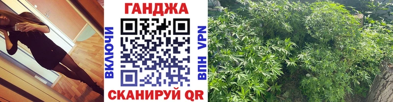 Бошки марихуана Amnesia Опочка
